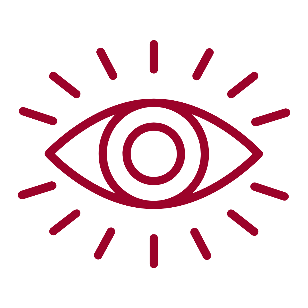 Vision icon brand bloomers
